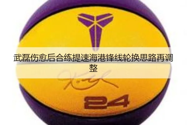 武磊伤愈后合练提速海港锋线轮换思路再调整
